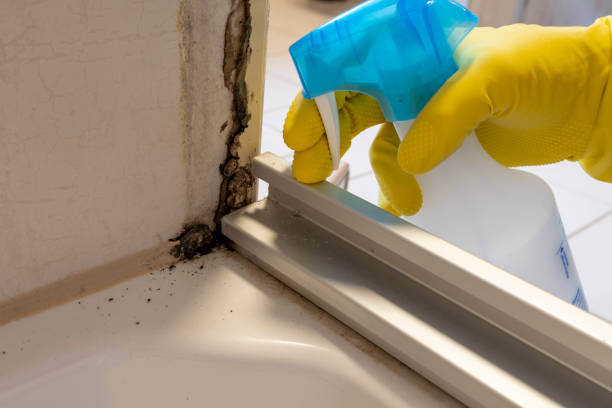 Best Asbestos and Lead Testing During Mold Inspection  in Dawson, TX