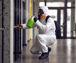 Asbestos and Lead Testing During Mold Inspection in Dawson, TX